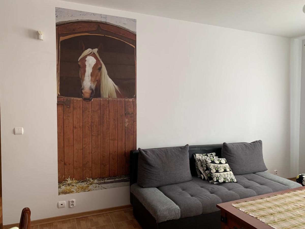 Zawsze słoneczny apartament Grzybowo Grzybowo  Zewnętrze zdjęcie